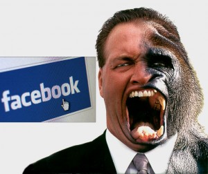stalking facebook